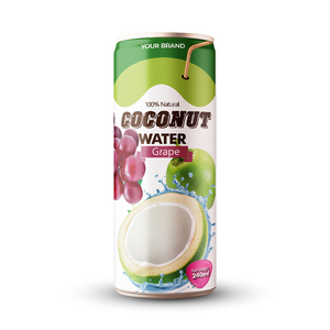 Agua de Coco 100% Natural Pura, 240 ml, Alta Calidad, Certificación HALAL e ISO, Sabor Dulce, Sabor Original, 24 Meses de Duración, Bebida - Product Image 4
