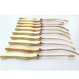 Instrumentos de Cirugía Plástica para Levantamiento de Cejas y Lifting Facial, Juego de Elevadores de Cuero Cabelludo de 10 Piezas, Acero Inoxidable Ecológico de Alta Calidad - Product Image 2