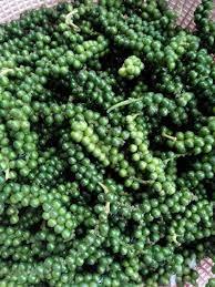 Semillas de pimiento verde enlatadas de exportación al por mayor pimienta verde en salmuera a buen precio - Product Image 6