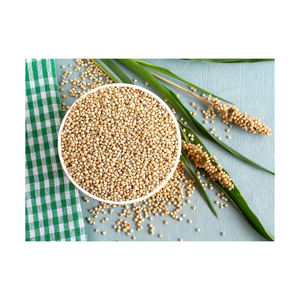 Grains de sorgho de haute qualité en gros, emballés en vrac, à vendre - Product Image 6