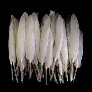 Plumes de canard teintes sélectionnées à la main pour les thèmes de mariage rustiques pour les arrangements floraux et les guirlandes de plumes - Product Image 1