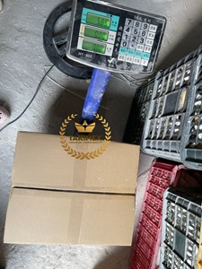 Os de seiche séchés et taillés en vrac, os blancs de seiche - Product Image 6