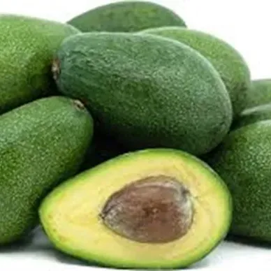 100% NON-GMO fresco Avocado / Hass Avocado/Fuerte prezzo distributore di frutta Avocado