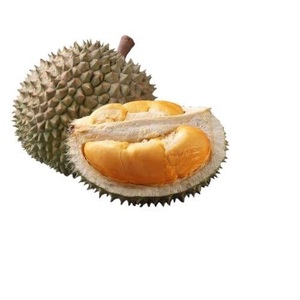 Durian Orgánico Natural 100% Fresco, Envasado al Vacío IQF, Congelado Premium - Product Image 1