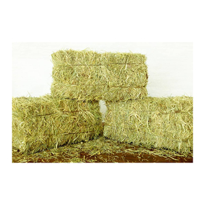 Heno de Pasto Rhodes Natural de Primera Calidad para Ganado y Caballos - Product Image 3