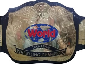 Cinturones de campeonato de lucha libre Trofeos Medallas y premios el símbolo definitivo de Victoria y excelencia Cinturones de Campeonato - Product Image 3