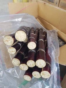 อ้อยแช่แข็งแบบปอกเปลือกผลิตภัณฑ์ใหม่ส่งออกอ้อยแช่แข็งจากเวียดนาม - Product Image 3