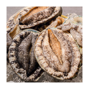 Abalone frais de qualité supérieure, préparé pour les offres en gros - Product Image 1