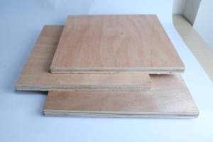 Contreplaqué d'eucalyptus de conception moderne commerciale, âme en bois dur, face en Bintangor/Okume/Pin - Product Image 2