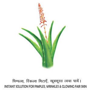 Patanjali Saundarya Aloevera Gel K.Chandan 60 Ml - Product Image 3
