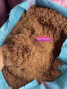 Premium Coco Peat Vietnam Clean Grade Suitable for Growing Substrate Makers and Continuous Export Volume Supply - Product Image 4
