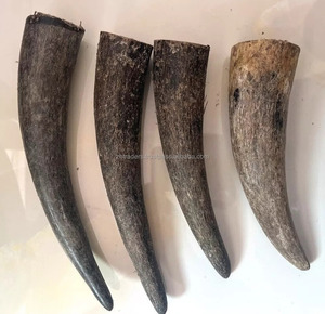 Puntas de cuerno de búfalo de buey de estilo Animal personalizadas de alta calidad, cuernos muy pulidos impermeables de la India, diseño personalizable, venta - Product Image 4