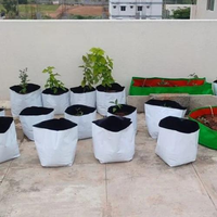 Sacs de culture en LDPE noir et blanc pour pépinières, semis d'arbres, plantes à café, serres et agriculture – Vente en gros