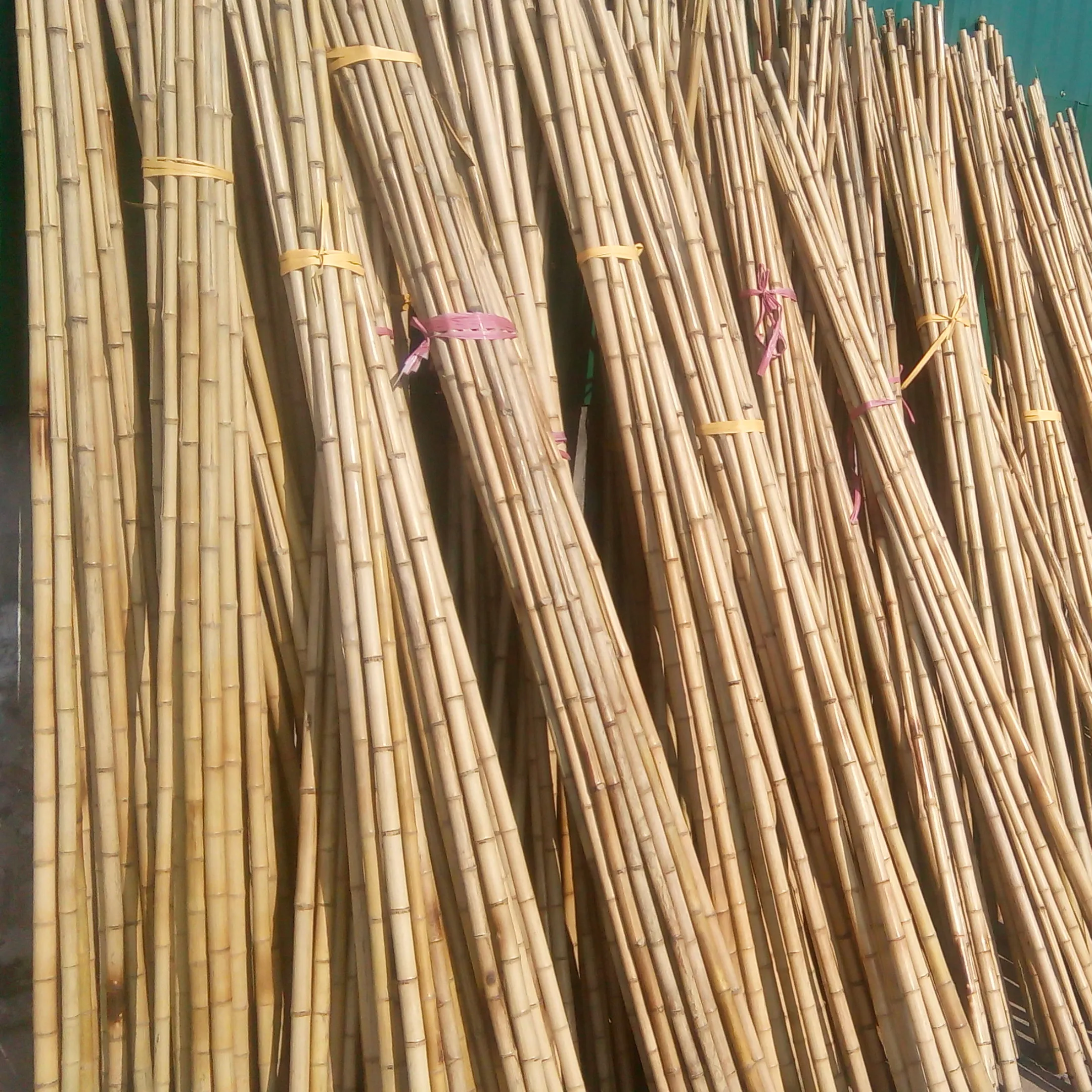 Bambus schwarze Stange natürliche Bambus stangen produziert für Garten pflanze Tonkin Bambus hergestellt in Vietnam
