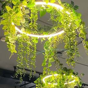 New Halo Ring LED ánh sáng mặt dây chuyền với cây xanh nhôm hồ sơ - Product Image 6