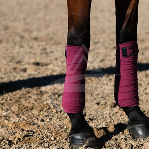 Les derniers pansements chauds de polo de CST Vêtements en molleton de cheval de haute qualité pour l'équitation Utilisation polyvalente en vente - Product Image 5