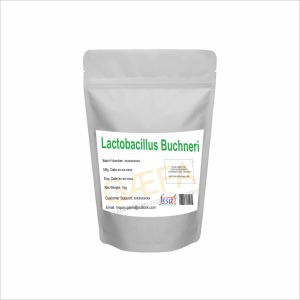 Poudre de Lactobacillus Buchneri d'origine - Product Image 3