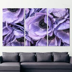 Elegante arte de pared con diseño de anémona morada - Decoración impresa en lienzo, 3P: estirado sobre lienzo - Product Image 1