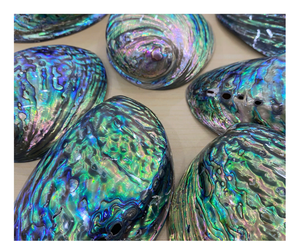 Coquilles d'ormeau de qualité supérieure en vrac du Vietnam prêtes à exporter-Coquille d'ormeau de haute qualité pour la décoration, designs uniques - Product Image 1