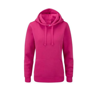 Sudadera con capucha bordada personalizada de fabricantes OEM para mujer, ropa informal Coreana de algodón para invierno con logotipo frontal - Product Image 1