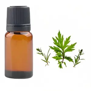 Artemesia Vulgarise Essential Oil Pure Essential Oil Manufacturing In India With High Quality In Whole Sale Price