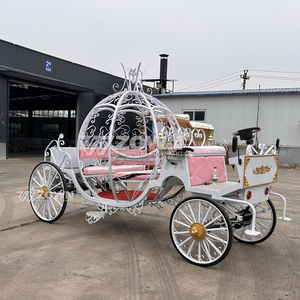 Colores personalizables, boda real eléctrica, carro rosa y blanco, calabaza, carro de lujo, corazón femenino, entrega rápida - Product Image 2