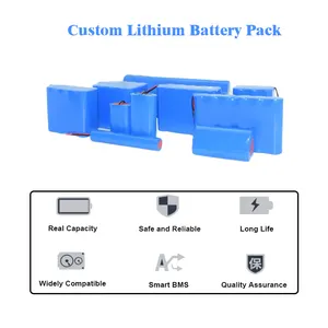 Batería de litio recargable 36V 10Ah 12V 24V 48V 15Ah 30Ah 20Ah personalizable para Ebike