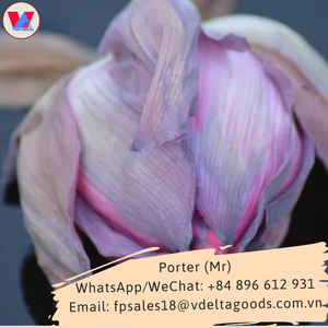ชาดอกบัวแห้งธรรมชาติ ชาสมุนไพรดอกบัวทั้งดอก - Product Image 6