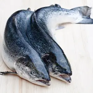 노르웨이 대서양 도매 필렛 전체 라운드 신선한 냉동 생선 핑크 연어에서 노르웨이