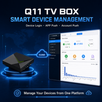 Boîtier TV professionnel Q11 pour opérateur, Android 14.0 S905X4 4 Go 32 Go 4K, LAN 1000M, application CMS, compte personnalisable, logo sur mesure, 1 pièce MOQ, direct usine