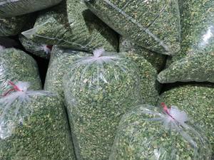 Poudre de feuille de pandan biologique de haute qualité 100% 1 kilogramme de taille emballée sous vide dans un sac - Product Image 2