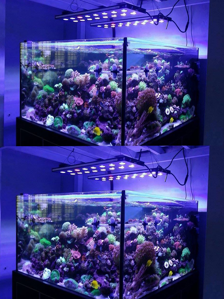 飼育用品・器具】【Chihiros】 Aquatic Studio NOVA 1 for サンゴ 