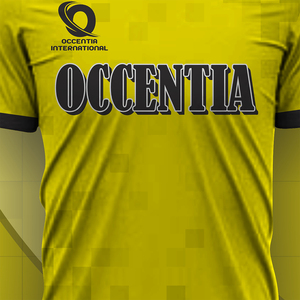 Pakistan Manufacture Custom Quick Dry Plus Size Sports Uniform Service Plain Dyed Polyester Jersey Soccer Wear Sets - Product Image 6