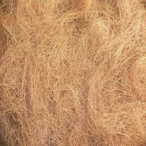 Fibra de coco natural de primera calidad, ideal para colchón de cepillo, alfombrilla de cuerda y uso de tapicería, adecuada para los mercados de exportación globales - Product Image 2
