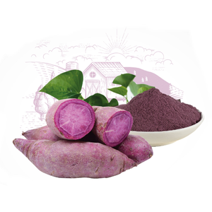 Farine de patate douce naturelle pour épaissir les smoothies et la cuisine quotidienne nutritive - Product Image 6