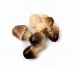 SETA SALADA DE CULTIVO SILVESTRE/BUENZA A BASE DE PLANTAS/SIN CONSERVADORES - Product Image 3