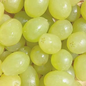 Suministro fresco de uvas rojas sin semillas orgánicas para supermercados y distribuidores - Product Image 1
