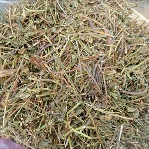 Passiflora foetida seca, producto de fabricación y exportación de fábrica de Vietnam - Product Image 6