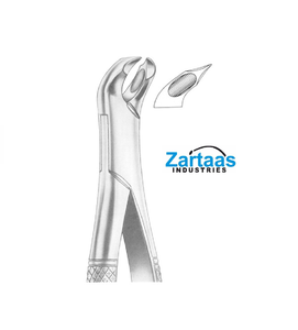 Fórceps de extracción de acero inoxidable de alta calidad WOODWARD molares inferiores 335/FS Instrumentos quirúrgicos Fabricante y exportador - Product Image 4