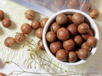 Nouvelle récolte 2024 noix de macademia naturelles décortiquées/non décortiquées à faible coût/noix de macadamia sèches crues de qualité en vrac/amande de qualité-ANNA DO