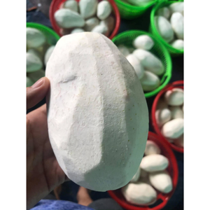 Taro púrpura congelado amarillo fresco de Vietnam ofrecido a precios competitivos al por mayor - Product Image 1