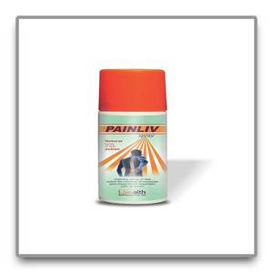 Patch vitaminique anti-douleur de qualité en gros amélioré dernier inhalateur nasal d'extrait de plantes Painliv pour un confort optimal de la bouche et du corps - Product Image 2