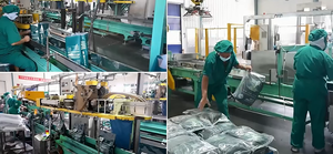 Oem odm זול התאמה אישית בכירה דיאטה טעמים שונים צורות מרובות מדע מזון יבש חתולים למבוגרים - Product Image 4