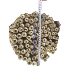 Custom Processed Garden Stakes | Dried Straight <b>Bamboo</b> Canes | Plant Support <b>Sticks</b> - Product Image 2