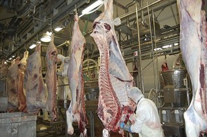 Carne de Caballo Entera Congelada de Canadá con 12 Meses de Vida Útil en Venta - Product Image 3