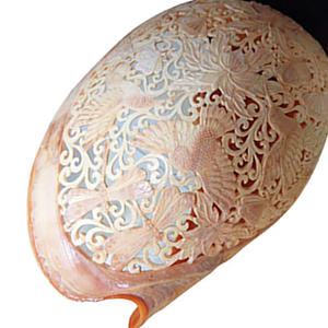 Arte de Tallado en Conchas Marinas, Joyería con Motivos de Conchas, Estilo Floral y Animal - Product Image 3