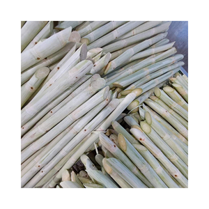 Exportación de caña de azúcar congelada al por mayor de alta calidad de Vietnam-Presentación del nuevo producto de caña de azúcar congelada pelada - Product Image 2