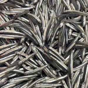 Anchoas Azules Enteras Congeladas, Envasadas al Vacío, IQF/BQF, Mariscos para Exportación al por Mayor, Suministro a Granel, Embalaje a Granel, Vietnam - Product Image 5
