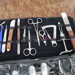 ชุดเครื่องมือถอนฟันแบบใช้มือ 161 ชิ้น ยี่ห้อ Surgical Mart ผลิตจากเหล็กกล้าไร้สนิมคุณภาพสูงจากเยอรมนี - Product Image 3