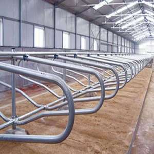 Chất lượng cao bền Kết Cấu Thép gia súc nhà kho chuyên nghiệp tùy chỉnh chống ăn mòn giá bán buôn cho gà - Product Image 2